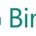 Bing Microsoft
